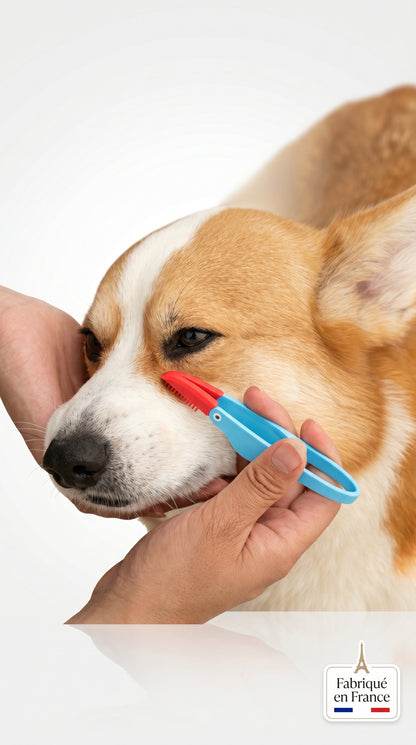 Peigne Anti-Taches Yeux Chien Chat – Brosse Douce Toilettage