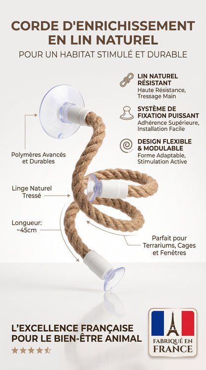 Perchoir Flexible en Corde de Chanvre pour Oiseau — Ventouse Antidérapante, DIY