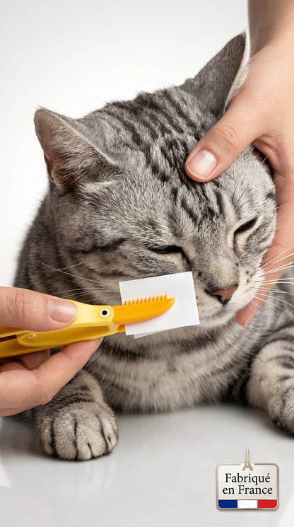 Peigne Anti-Taches Yeux Chien Chat – Brosse Douce Toilettage