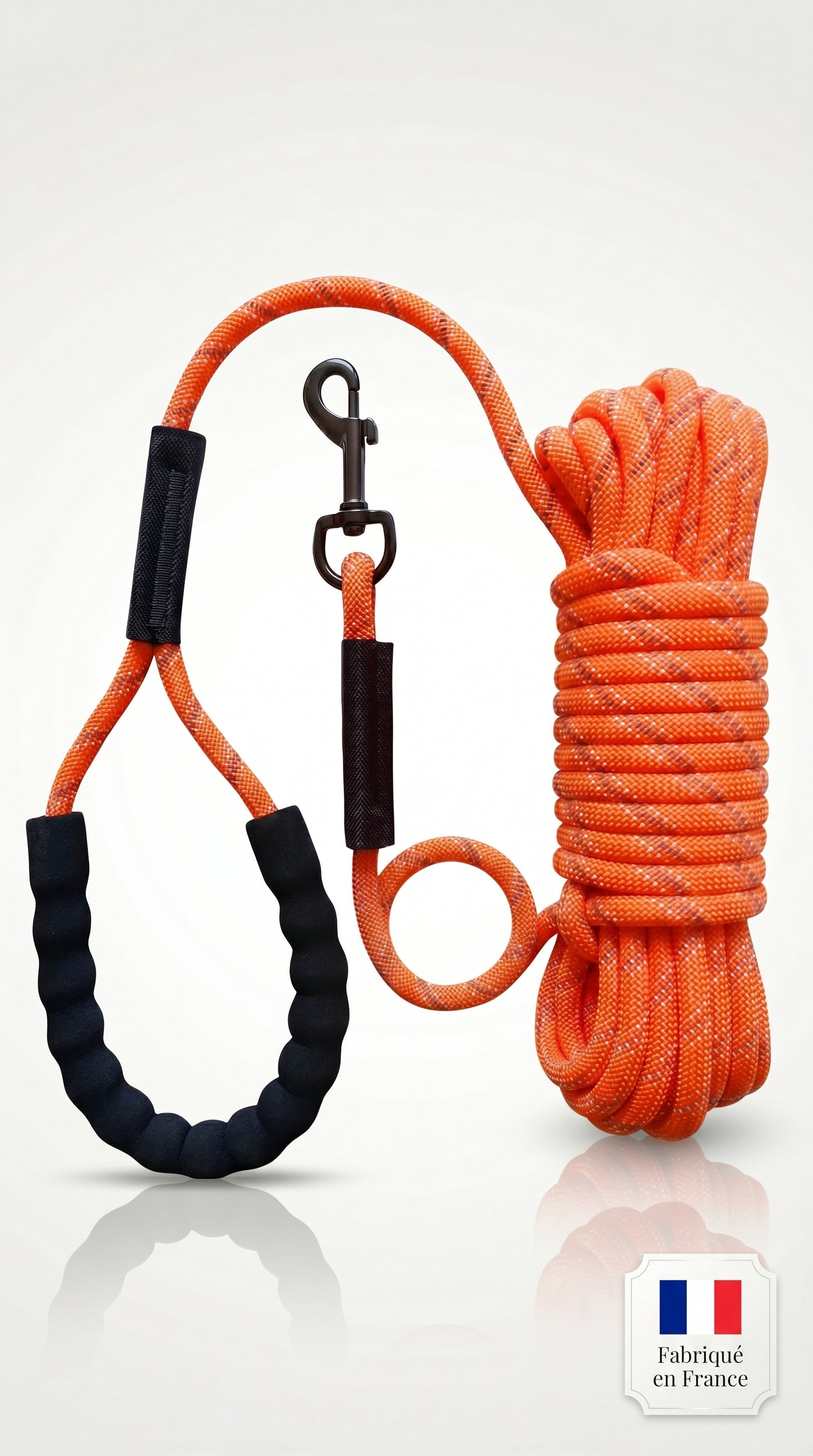 Laisse Longue Réfléchissante Chien Chat – 2 à 20 m – Entraînement & Rappel