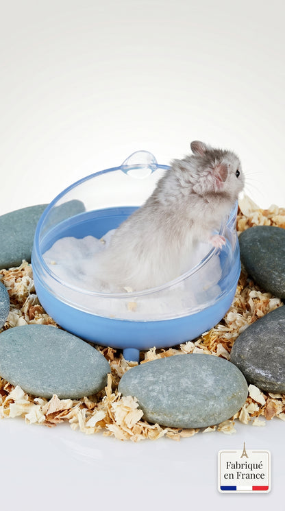 Bac à Sable Transparent pour Hamster – Hygiène et Confort au Quotidien